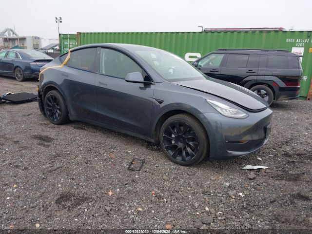 Tesla Model Y Long Range Dual Motor All-wheel Drive Image 1