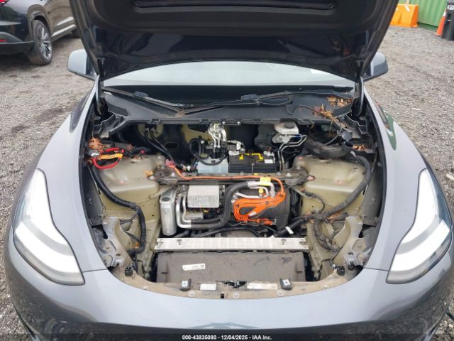 Tesla Model Y Long Range Dual Motor All-wheel Drive Image 10