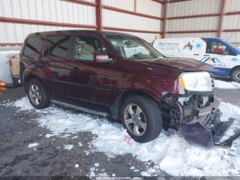  Salvage Honda Pilot