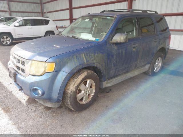 Ford Escape Xlt Image 3