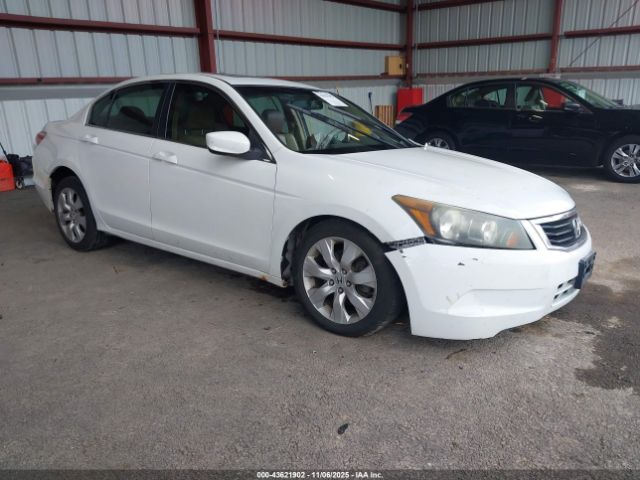 Honda Accord 2.4 Ex-l Image 1