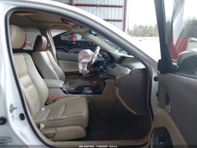 Honda Accord 2.4 Ex-l Image 7