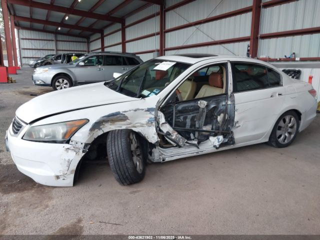 Honda Accord 2.4 Ex-l Image 14